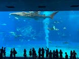 沖縄美ら海水族館に投稿された画像（2024/7/19）