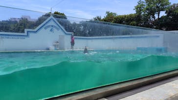 しながわ水族館に投稿された画像（2024/7/19）