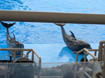 名古屋港水族館に投稿された画像（2024/7/19）