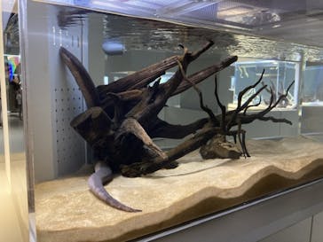 AOAO SAPPOROに投稿された画像（2024/7/19）