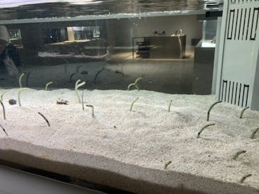 AOAO SAPPOROに投稿された画像（2024/7/19）