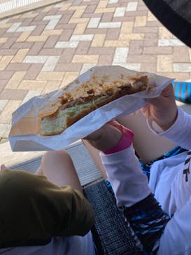 志摩市浜島磯体験施設 海ほおずきに投稿された画像（2024/7/19）