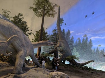 福井県立恐竜博物館に投稿された画像（2024/7/19）