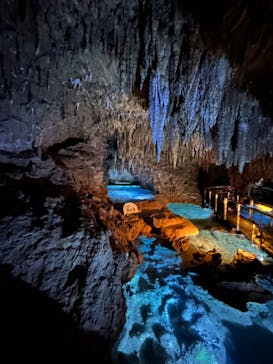 おきなわワールドに投稿された画像（2024/7/19）