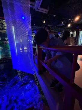 AQUARIUM × ART　atoaに投稿された画像（2024/7/19）