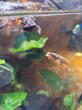 AQUARIUM × ART　atoaに投稿された画像（2024/7/19）