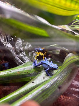 AQUARIUM × ART　atoaに投稿された画像（2024/7/19）