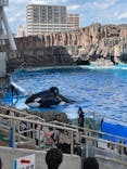 名古屋港水族館に投稿された画像（2024/7/19）
