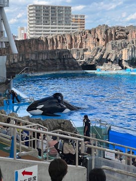 名古屋港水族館に投稿された画像（2024/7/19）