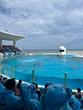 鴨川シーワールドに投稿された画像（2024/7/19）