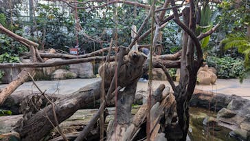 神戸どうぶつ王国に投稿された画像（2024/7/19）