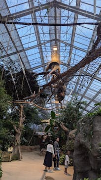 神戸どうぶつ王国に投稿された画像（2024/7/19）