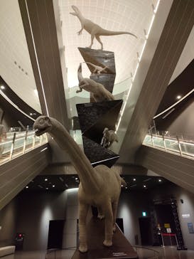 福井県立恐竜博物館に投稿された画像（2024/7/19）