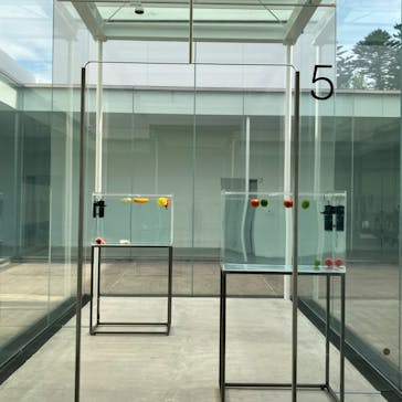 金沢21世紀美術館に投稿された画像（2024/7/19）