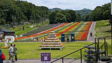 たんばらラベンダーパークに投稿された画像（2024/7/19）