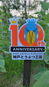 神戸どうぶつ王国に投稿された画像（2024/7/19）