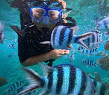 マリンクラブジジに投稿された画像（2024/7/19）