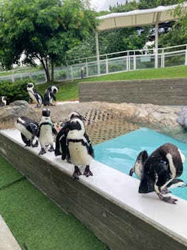 マリンワールド海の中道に投稿された画像（2024/7/19）