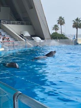 マリンワールド海の中道に投稿された画像（2024/7/19）