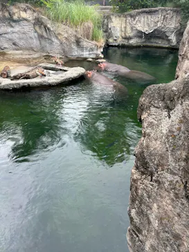 天王寺動物園に投稿された画像（2024/7/20）