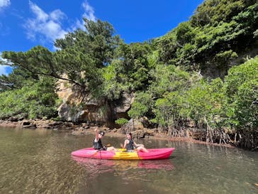 西表島 ADVENTURE PiPi（アドベンチャーピピ）に投稿された画像（2024/7/20）