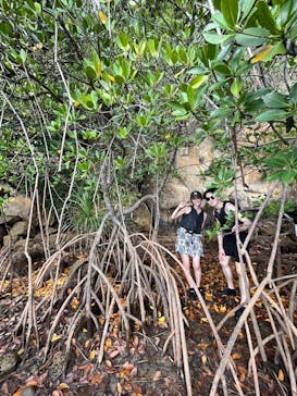 西表島 ADVENTURE PiPi（アドベンチャーピピ）に投稿された画像（2024/7/20）