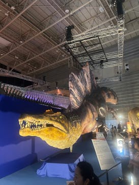 巨大恐竜展2024に投稿された画像（2024/7/20）