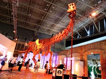 巨大恐竜展2024に投稿された画像（2024/7/20）
