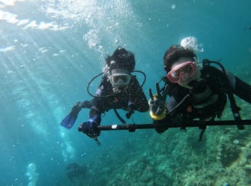 武藤潜水に投稿された画像（2024/7/20）