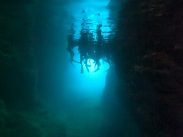 武藤潜水に投稿された画像（2024/7/20）