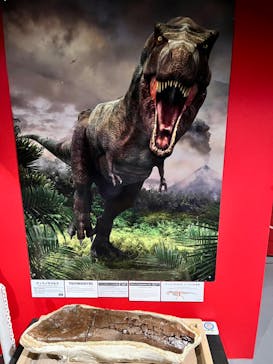 タッチ ザ ダイナソー ～恐竜アドベンチャー展～に投稿された画像（2024/7/20）
