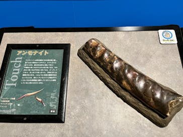 タッチ ザ ダイナソー ～恐竜アドベンチャー展～に投稿された画像（2024/7/20）