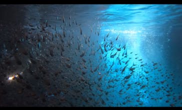 武藤潜水に投稿された画像（2024/7/20）