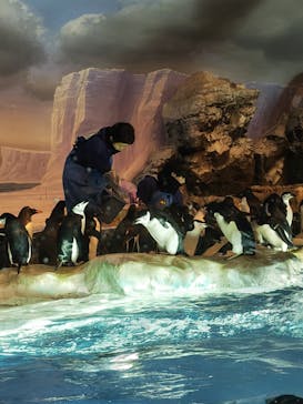 名古屋港水族館に投稿された画像（2024/7/20）