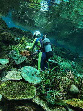 名古屋港水族館に投稿された画像（2024/7/20）