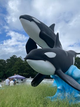 鴨川シーワールドに投稿された画像（2024/7/20）