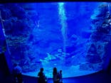 京都水族館に投稿された画像（2024/7/20）