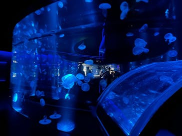 京都水族館に投稿された画像（2024/7/20）