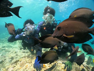 武藤潜水に投稿された画像（2024/7/20）