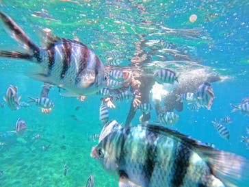 武藤潜水に投稿された画像（2024/7/20）