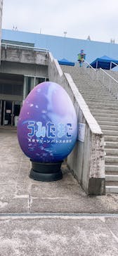 大分マリーンパレス水族館 「うみたまご」に投稿された画像（2024/7/20）
