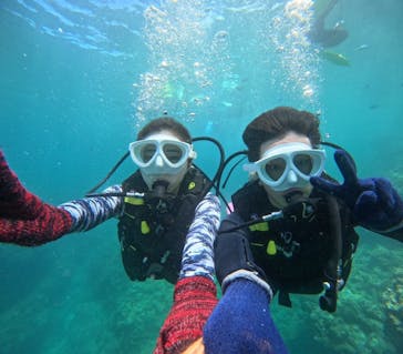 沖縄マリンサービス碧に投稿された画像（2024/7/20）