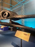 巨大恐竜展2024に投稿された画像（2024/7/20）