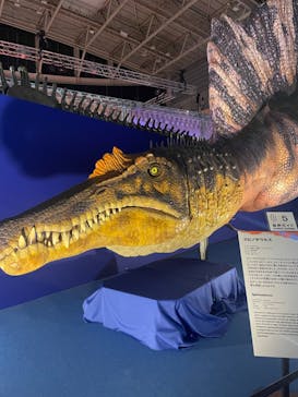 巨大恐竜展2024に投稿された画像（2024/7/20）