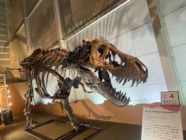 巨大恐竜展2024に投稿された画像（2024/7/20）