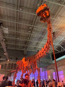 巨大恐竜展2024に投稿された画像（2024/7/20）
