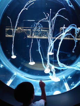 AOAO SAPPOROに投稿された画像（2024/7/20）