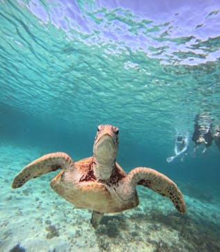 nico 宮古島に投稿された画像（2024/7/20）