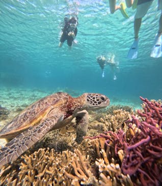 nico 宮古島に投稿された画像（2024/7/20）