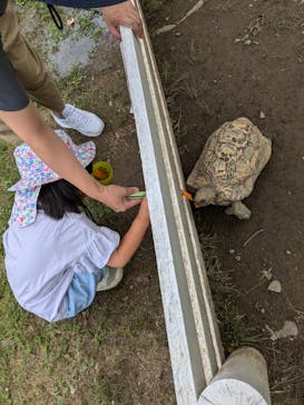神崎農村公園ヨーデルの森に投稿された画像（2024/7/20）